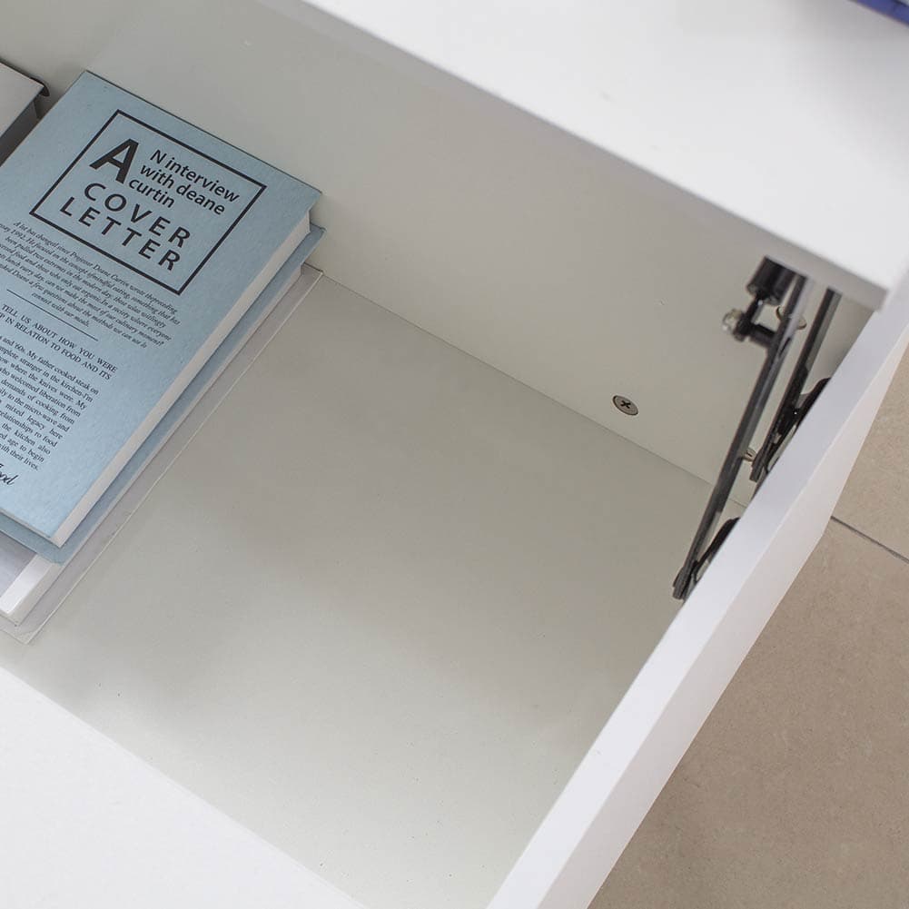 Tavolino da Salotto con Vano Contenitore in Legno 100x60x45cm Moderno Bianco in Tavolini da caffè Danyx - Casoria, commercioVirtuoso.it