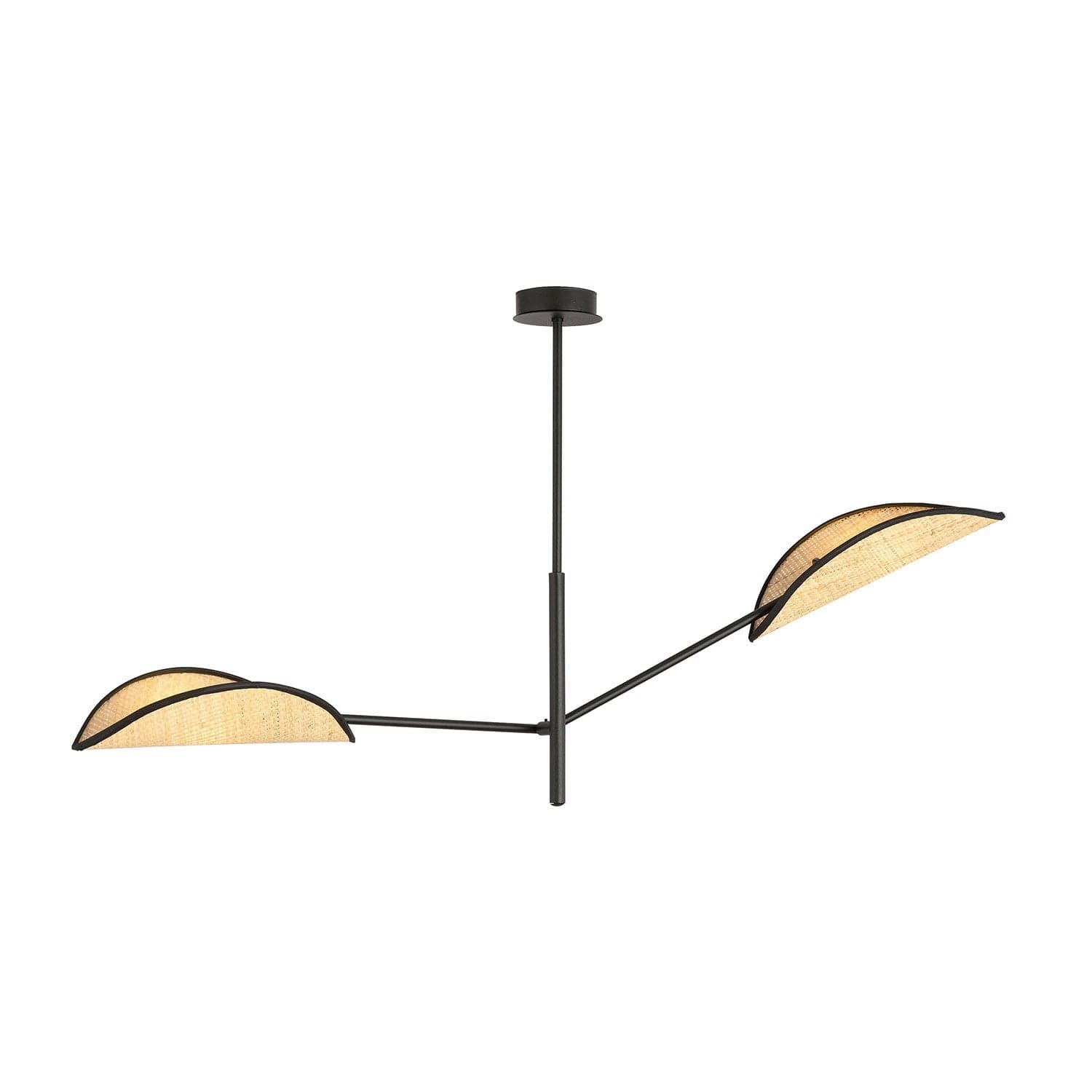 Lampadario 2 Luci Vene In Acciao Nero E Rattan Con Bracci Mobili in Lampade a sospensione LuceArt - Montecorvino Pugliano, commercioVirtuoso.it