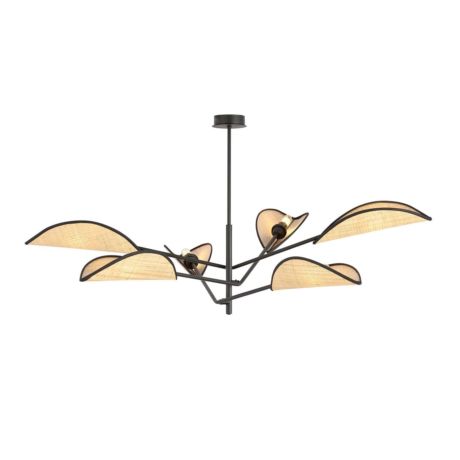 Lampadario 6 Luci Vene In Acciao Nero E Rattan Con Bracci Mobili in Lampade a sospensione LuceArt - Montecorvino Pugliano, commercioVirtuoso.it