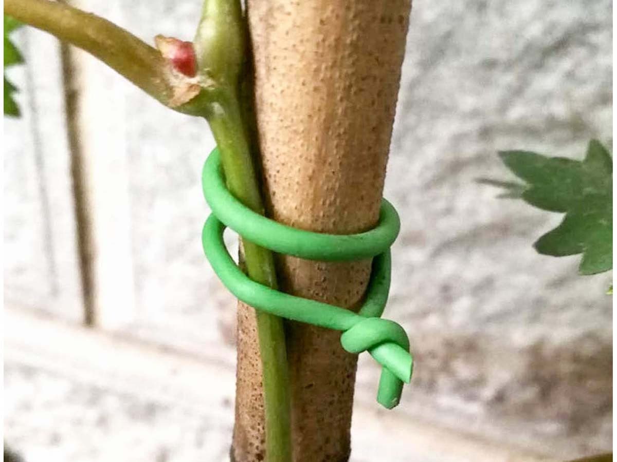 34 Metri Filo Ferro Plastificato Verde Diametro 2mm in Recinzioni Scontolo.net - Potenza, commercioVirtuoso.it