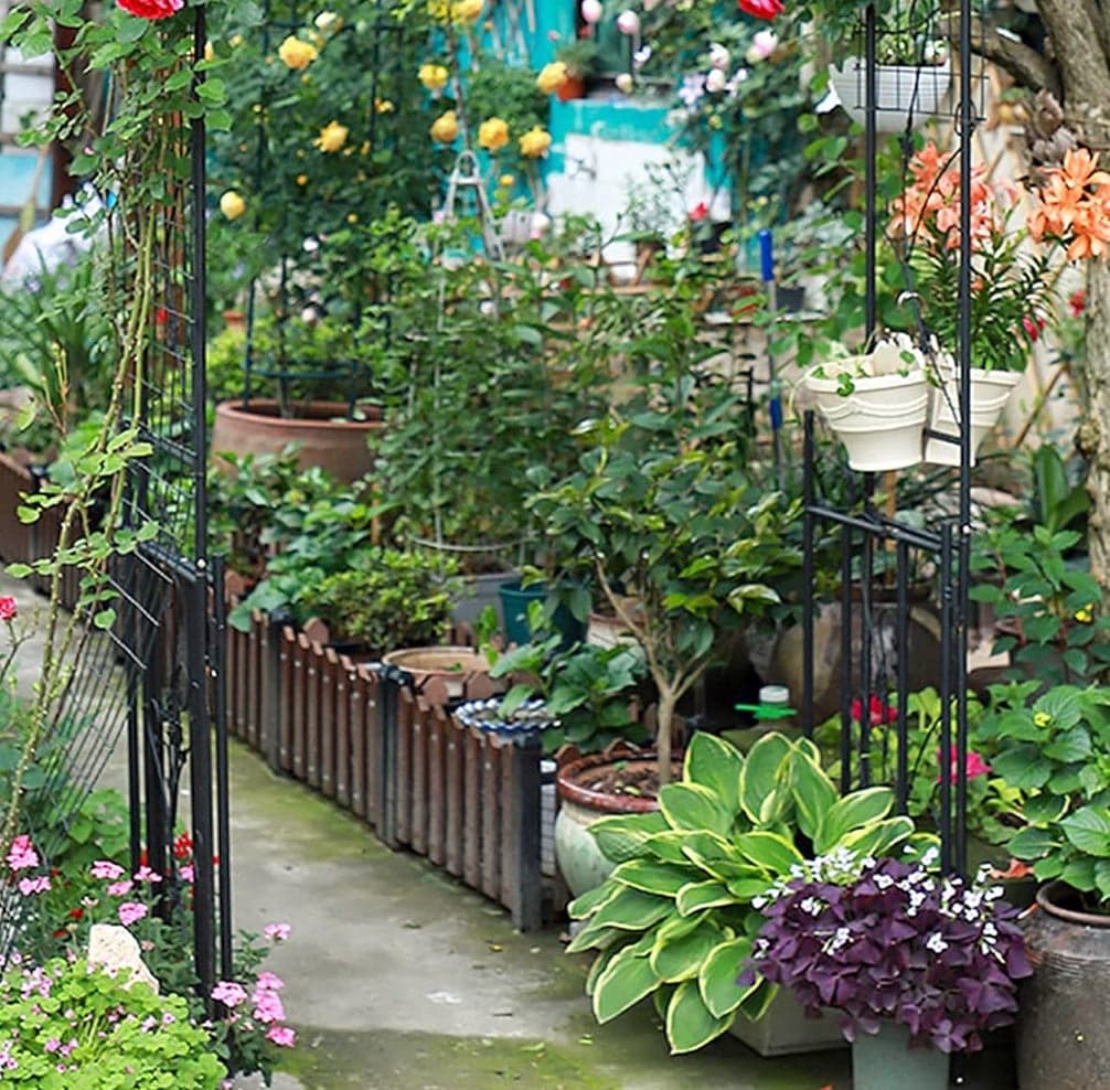 Arco da Giardino in Ferro con Cancello per Piante Rampicanti 116x36.5 H228cm Nero in Pergolati Danyx - Casoria, commercioVirtuoso.it
