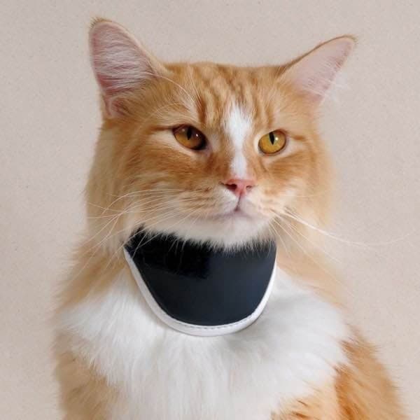 Supporti per il collo