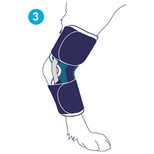 Tutore del Garretto per cani Bt Hock in Cura di anche e articolazioni 101 Market - Poggibonsi, commercioVirtuoso.it