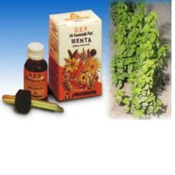 Menta olio ess puro 10ml specc
