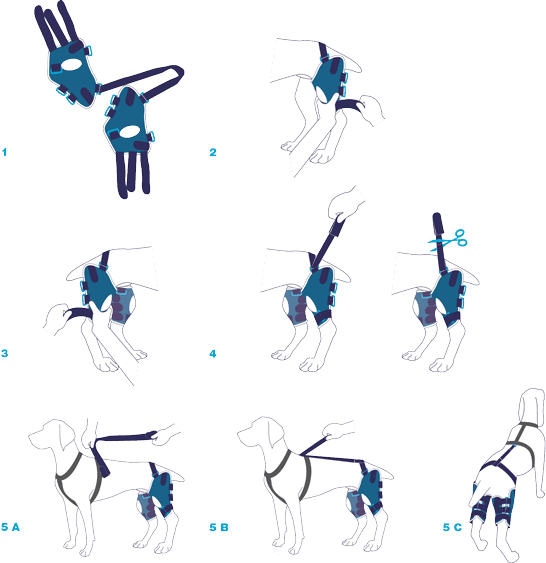Tutore Ginocchio per cani Bt JUmp in Cura di anche e articolazioni 101 Market - Poggibonsi, commercioVirtuoso.it