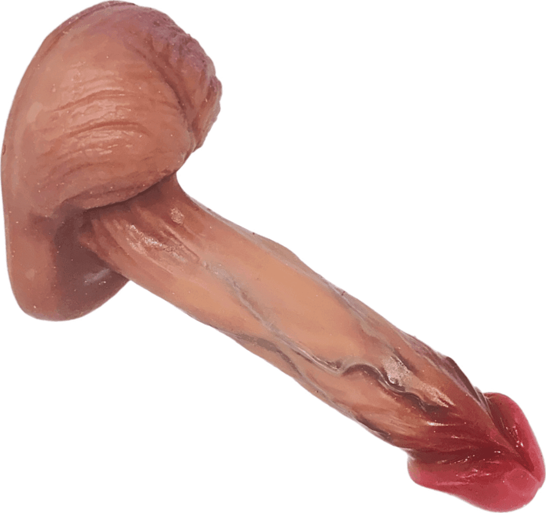 Dildo Realistico in Silicone Morbido pene 15 cm Naturale con Ventosa e Testicoli in Dildo classici Do You Erotic - Napoli, commercioVirtuoso.it