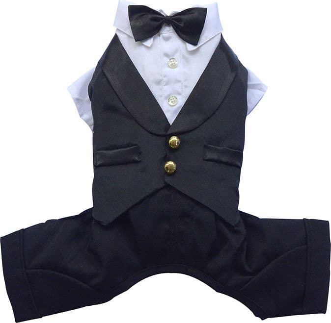 Costumi per cani