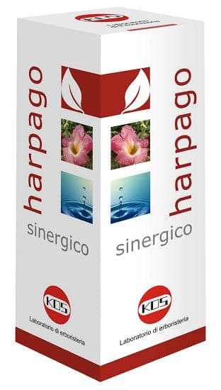 Harpago sinergico gtt 100ml ko
