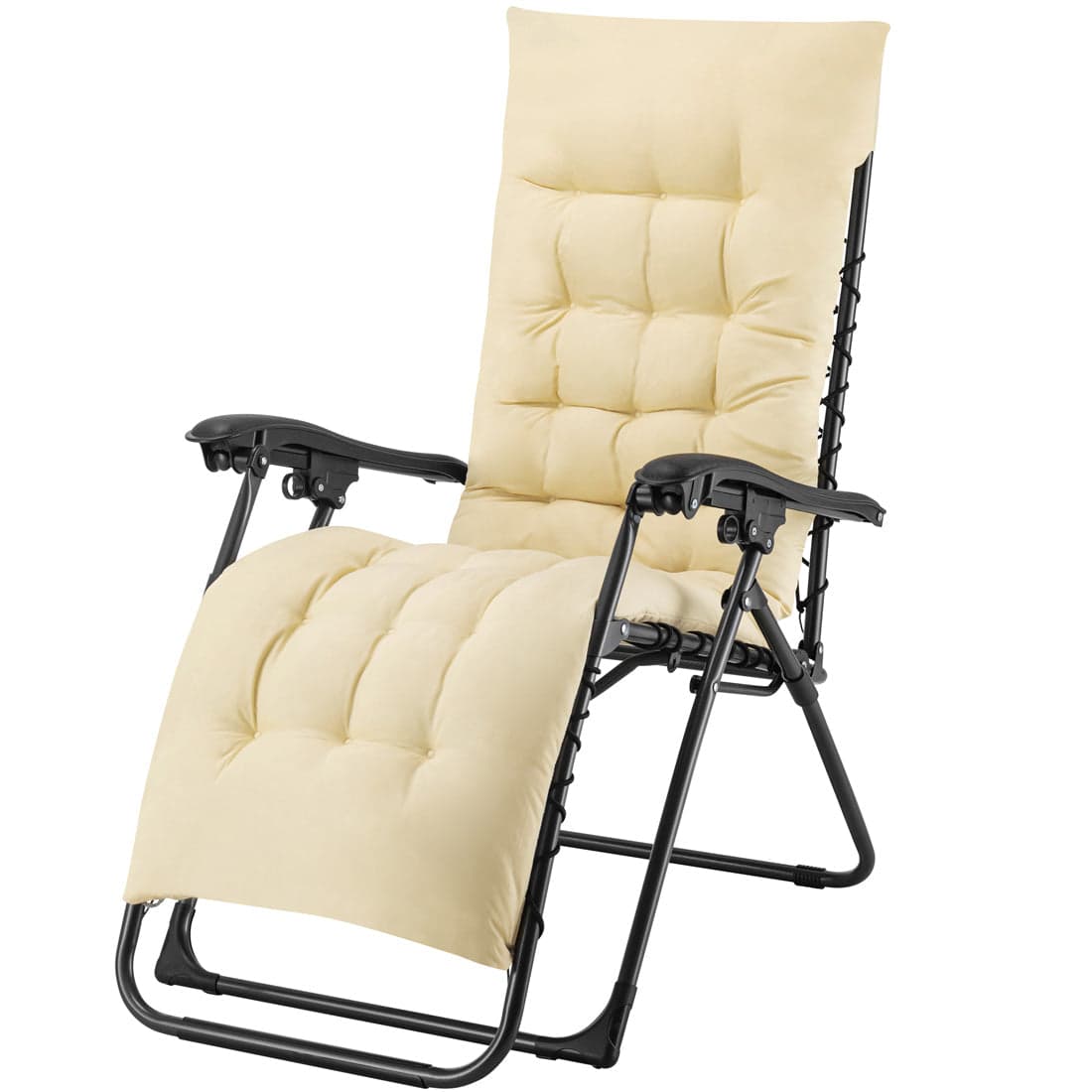 13748538