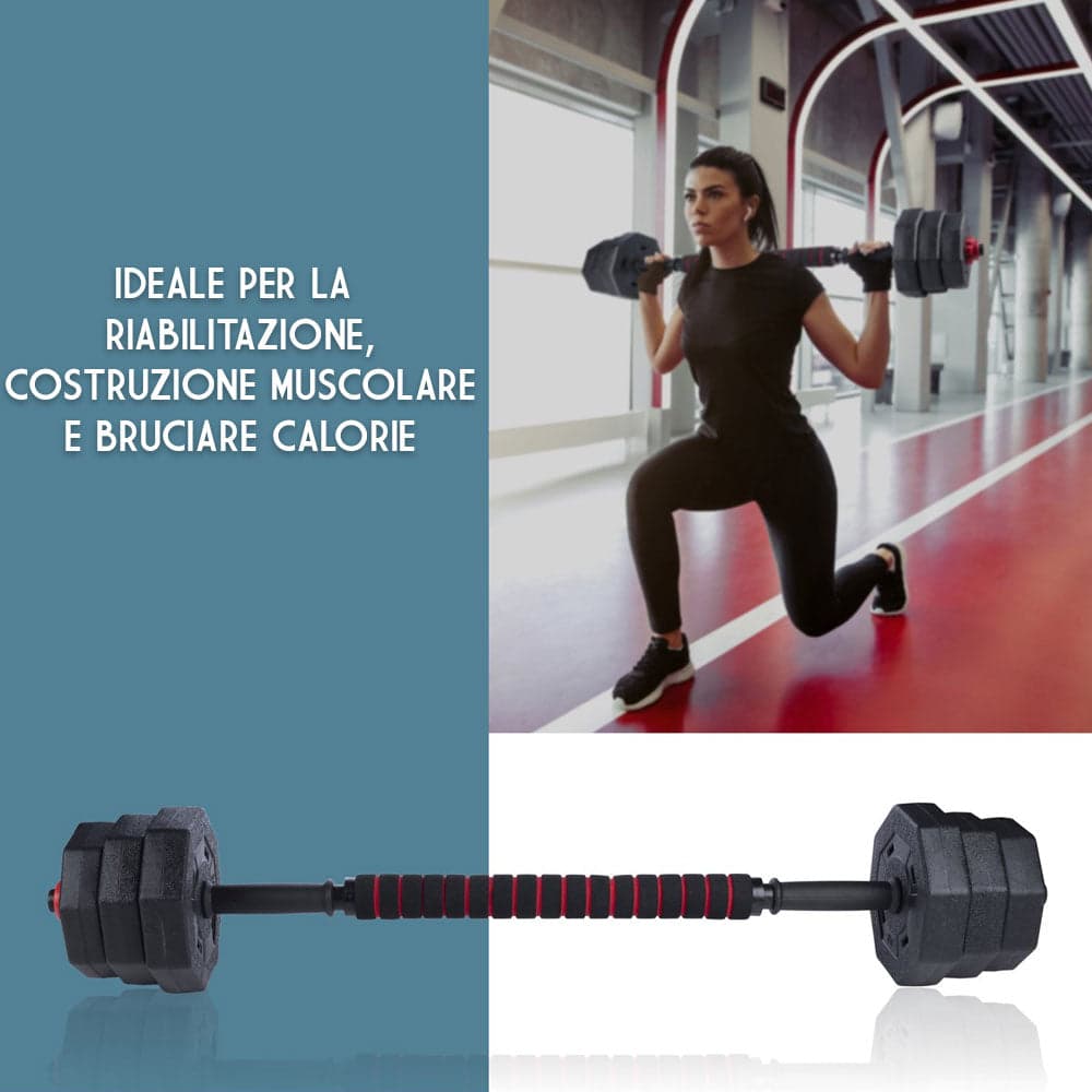 Set Manubri Convertibili in Bilanciere 19kg 12 Dischi Pesi Plastica Durevole in Manubri Danyx - Casoria, commercioVirtuoso.it