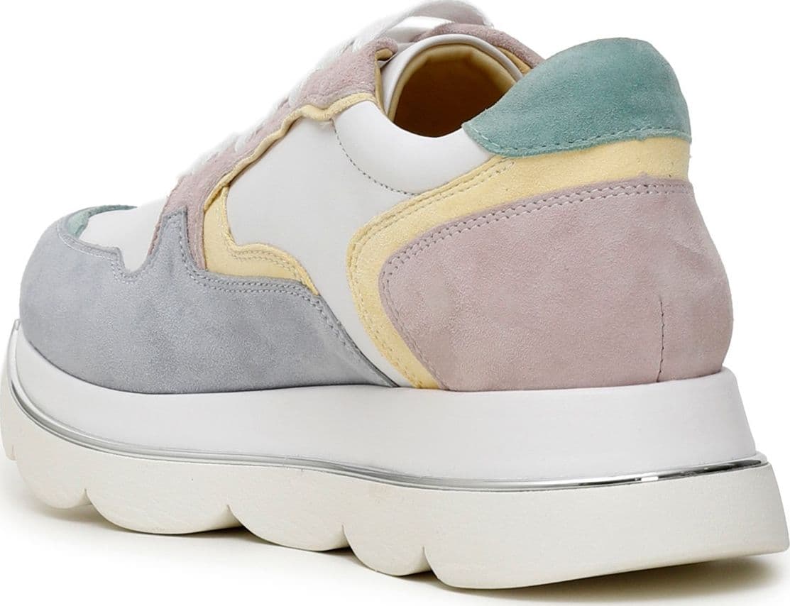 SNEAKERS ALLACCIATA MULTICOLOR IN PELLESCAMOSCIATA in Sneaker casual 3A Moda Mare Sport - Bellaria Igea Marina, commercioVirtuoso.it