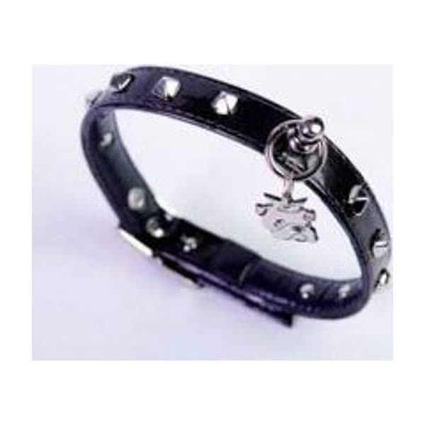 Collare nero per cani in ecopelle con borchie quadrate Pet Follie in Collari standard 101 Market - Poggibonsi, commercioVirtuoso.it