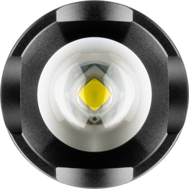 Torcia LED ad Alta Luminosit&agrave 300lm IPX4 in Torce elettriche portatili (standard) Scontolo.net - Potenza, commercioVirtuoso.it