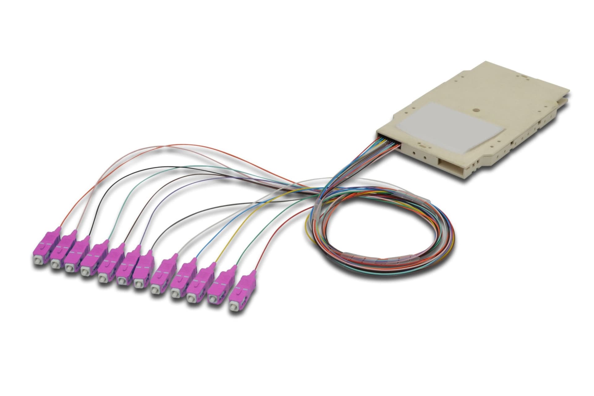 Cassetta di Giunzione Attrezzata con 12 Pigtail Fibra Multimodale OM4 SC 50/125 2m in  Scontolo.net - Potenza, commercioVirtuoso.it