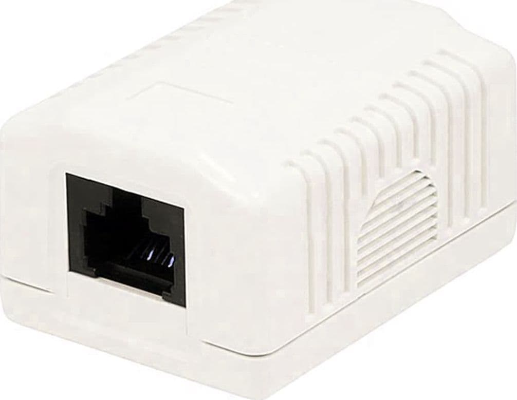 Presa a Muro con 1 Frutto RJ45 Cat.6 UTP Beige in Socket Scontolo.net - Potenza, commercioVirtuoso.it