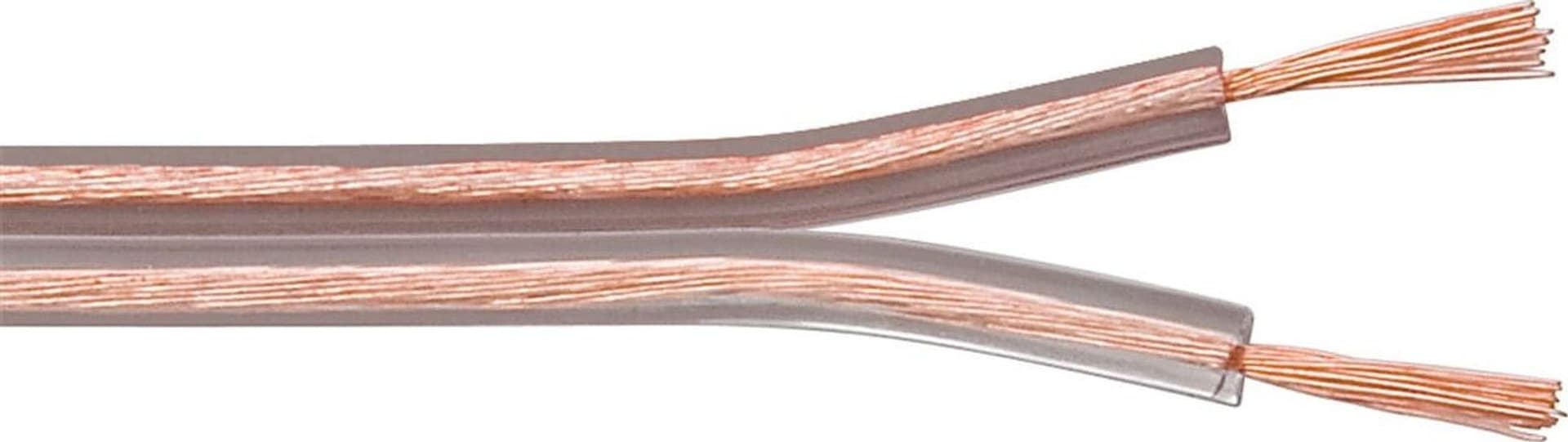 Cavo Audio per diffusori acustici Trasparente 2,5 mm² matassa 100m in Cavi massa e di potenza Scontolo.net - Potenza, commercioVirtuoso.it