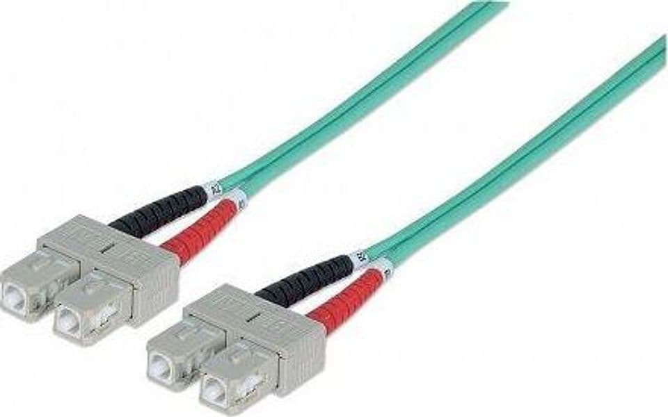 Cavo Fibra Ottica Multimodale OM3 SC/SC 50/125 10 m in  Scontolo.net - Potenza, commercioVirtuoso.it