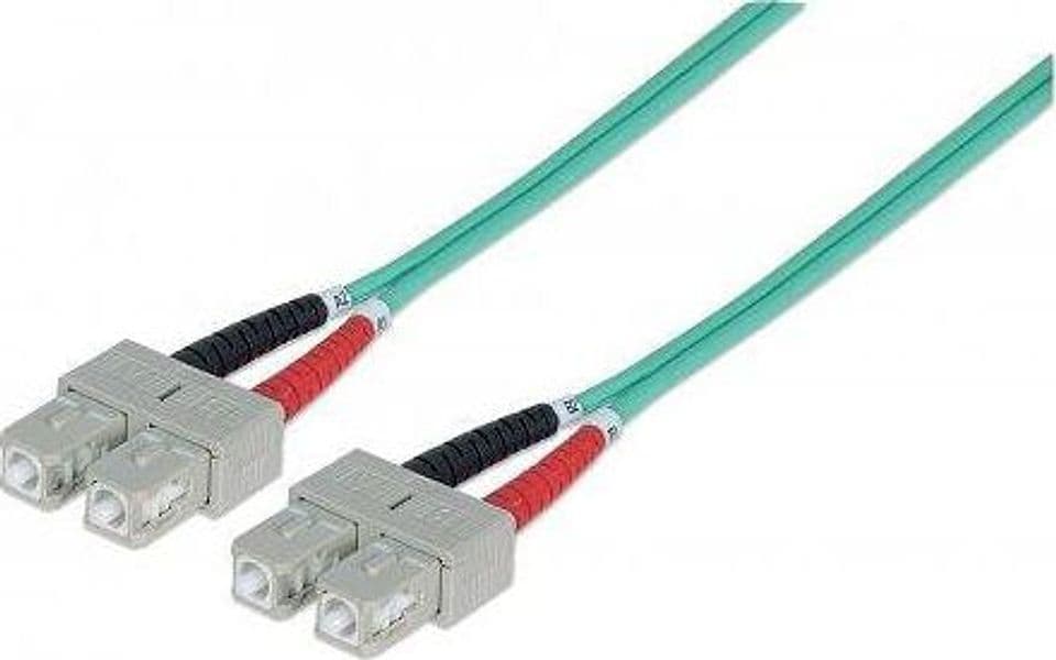 Cavo Fibra Ottica Multimodale OM3 SC/SC 50/125 3 m in  Scontolo.net - Potenza, commercioVirtuoso.it