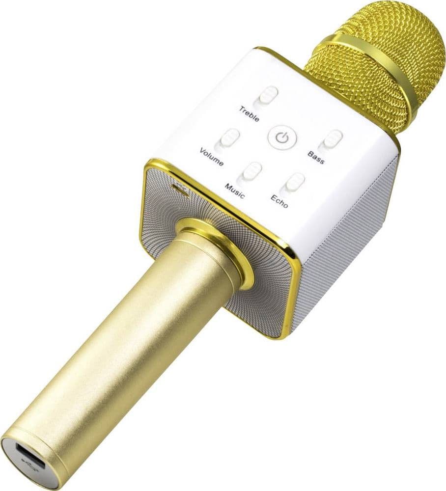 Microfono Karaoke Bluetooth con Speaker Stereo, BT-X31 in Set di microfoni Scontolo.net - Potenza, commercioVirtuoso.it