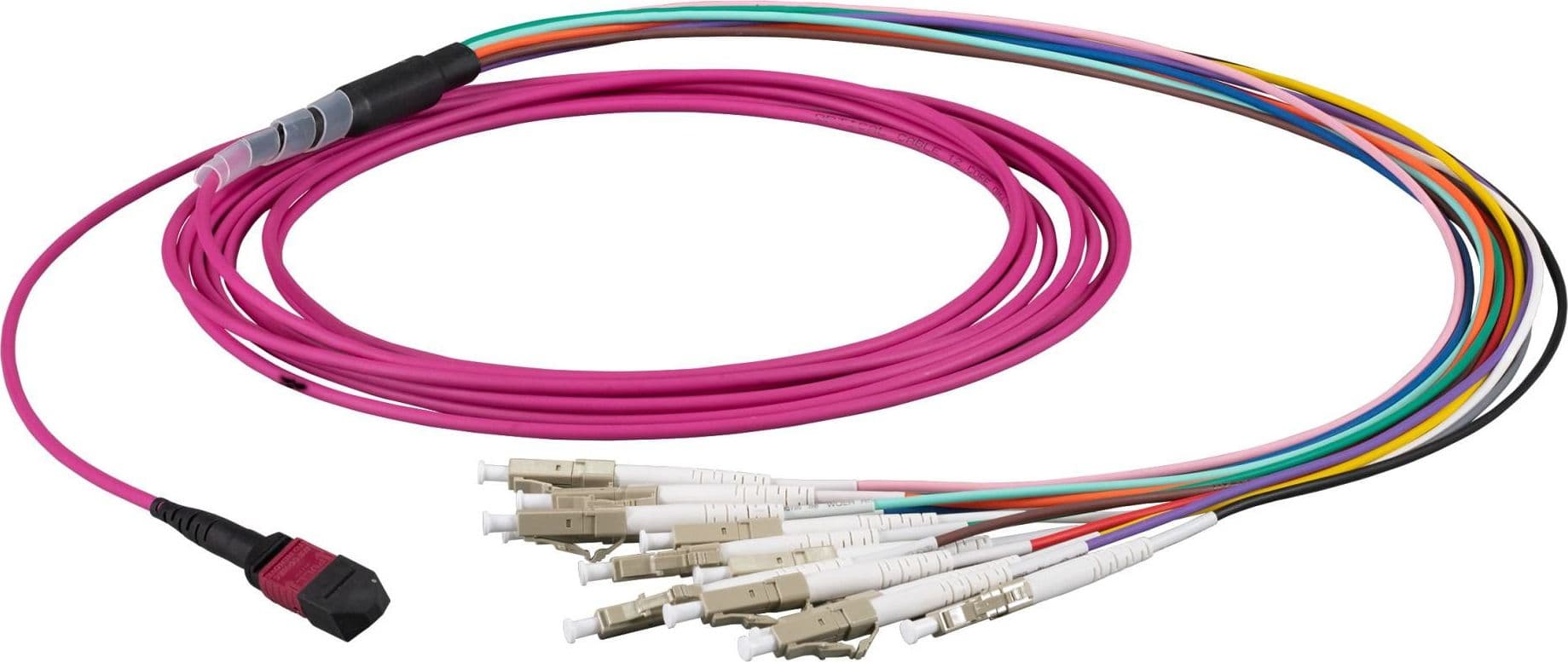 Cavo Patch a 12 Fibre Multiconnessione MTP-F/LC OM4 2m in Cavi Ethernet Scontolo.net - Potenza, commercioVirtuoso.it