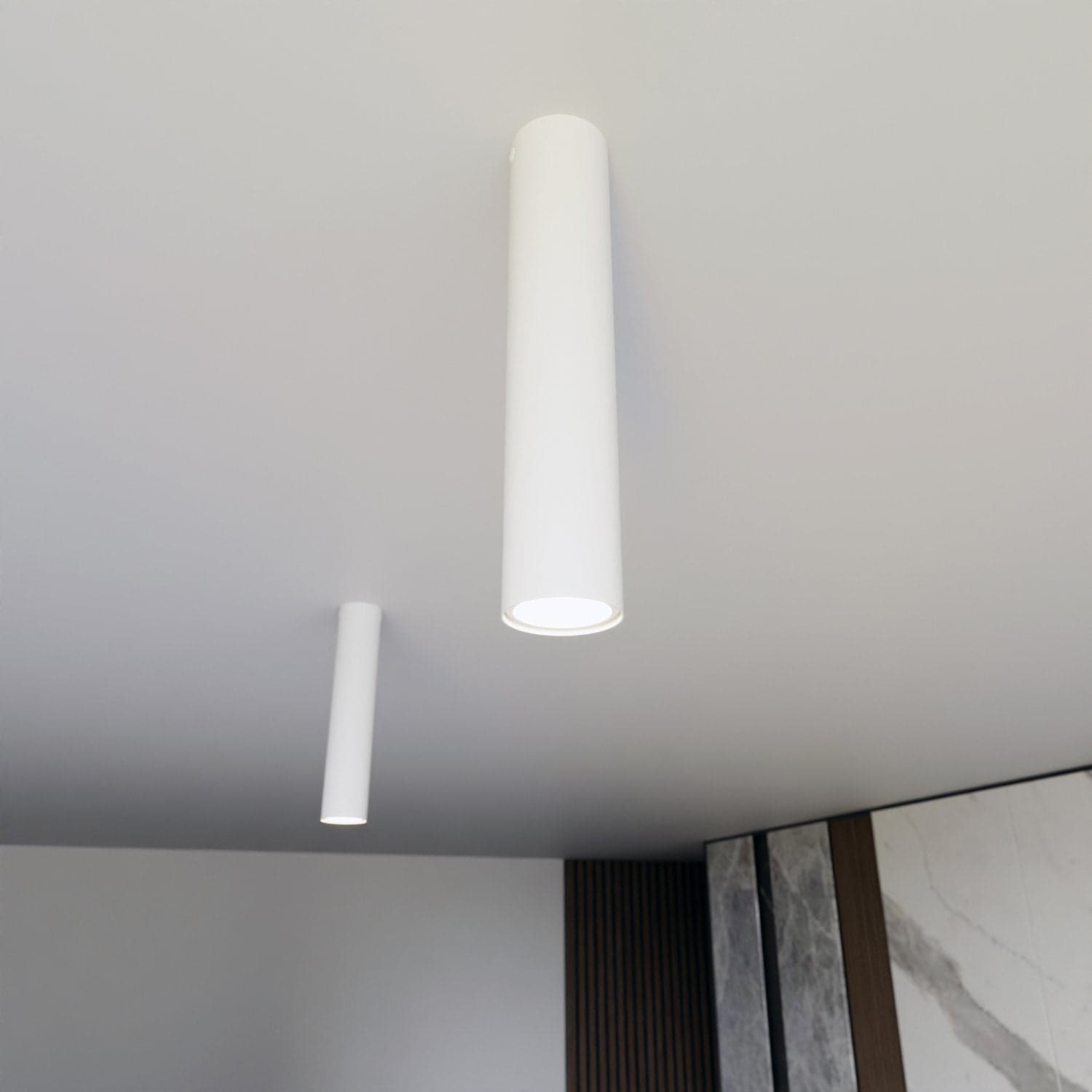 Plafoniera Moderna Faretto Tecno 1 Luce Acciaio Bianco 30 Cm in Plafoniere LuceArt - Montecorvino Pugliano, commercioVirtuoso.it