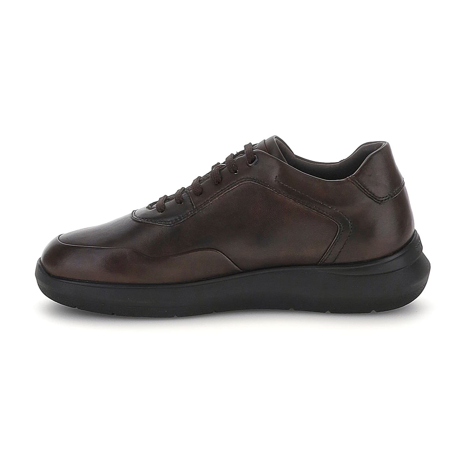 Stonefly sneakers uomo Seven Season 8 in nappa brown 223008 in Sneaker casual Teresi Calzature - Marsala, commercioVirtuoso.it
