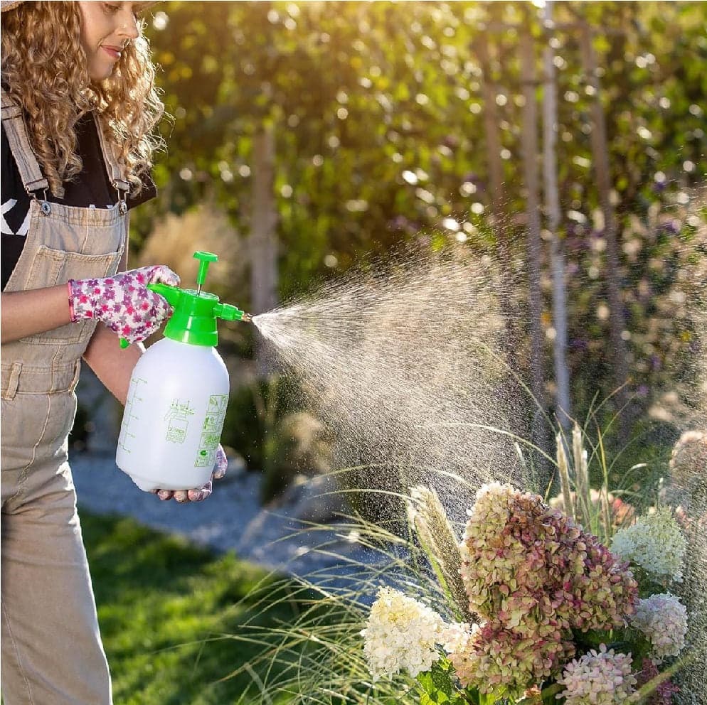 Spruzzatore Pressione Nebulizzatore Vaporizzatore 2lt per Piante e Giardino in Nebulizzatori Danyx - Casoria, commercioVirtuoso.it