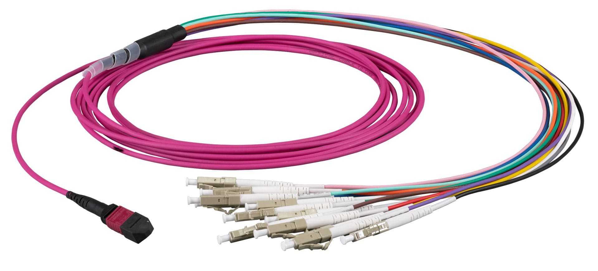 Cavo Patch a 12 Fibre Multiconnessione MTP-F/LC OM4 2m in Cavi Ethernet Scontolo.net - Potenza, commercioVirtuoso.it