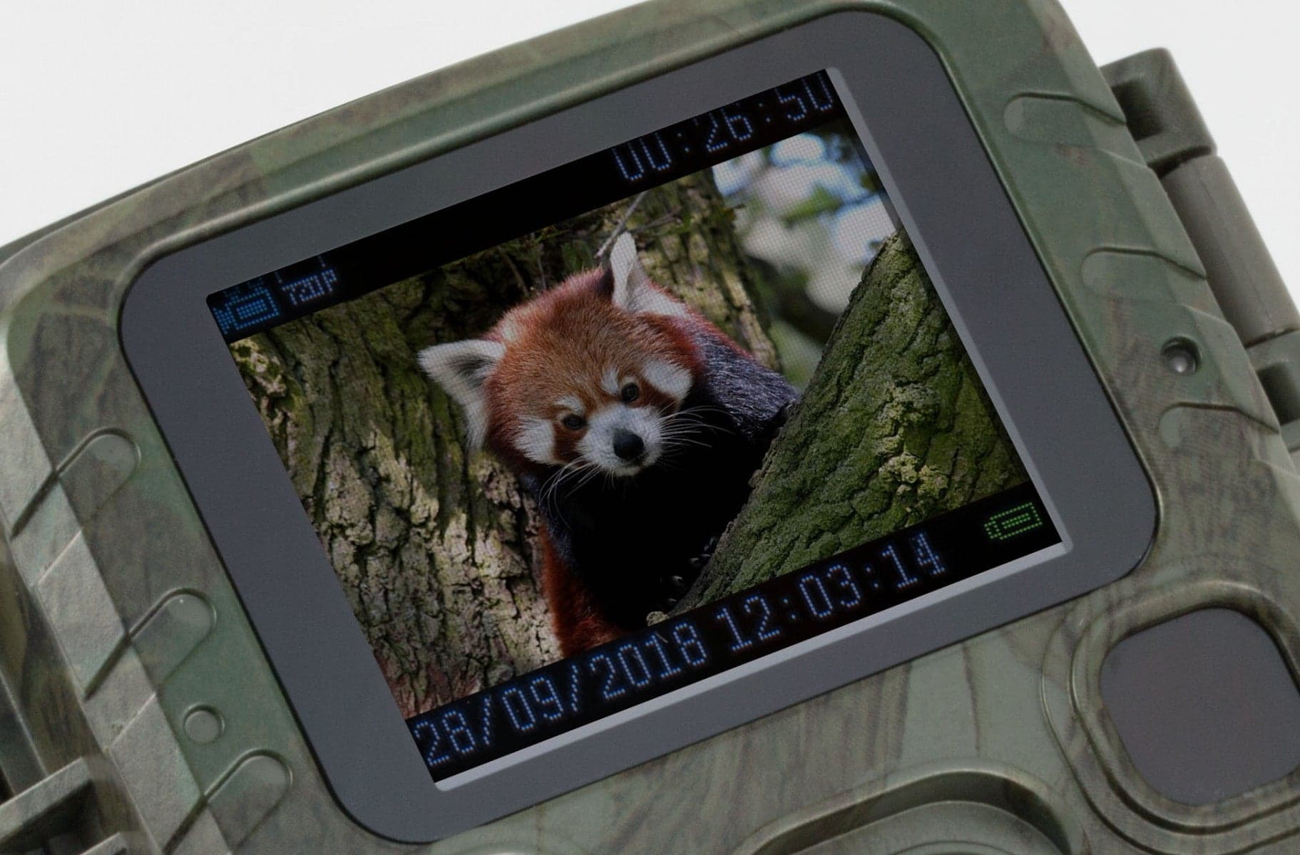 Camera Wild 1080P 12MP IP56 PIR IR 18m per Osservazione Fauna, TX-117 in Macchine fotografiche da caccia Scontolo.net - Potenza, commercioVirtuoso.it