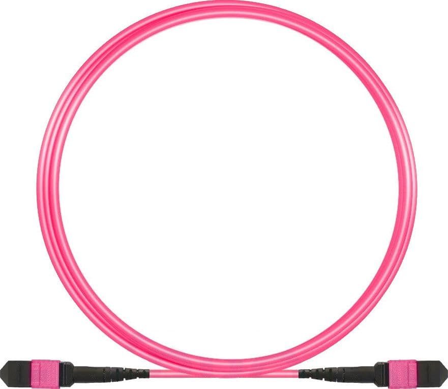 Cavo Patch a 12 Fibre MTP-F/MTP-F OM4 Code B 2m in Cavi Ethernet Scontolo.net - Potenza, commercioVirtuoso.it