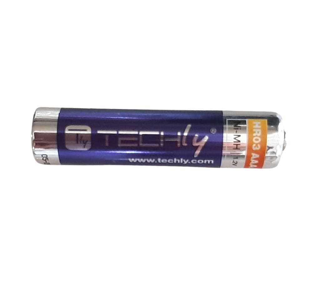Blister 2 Batterie Ricaricabili Mini Stilo HR03 AAA 1000 mAh in Pile ricaricabili Scontolo.net - Potenza, commercioVirtuoso.it