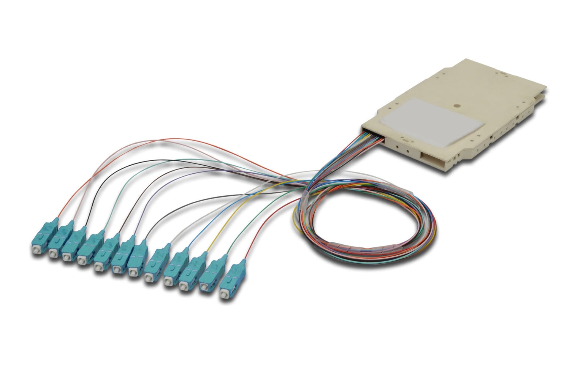 Cassetta di Giunzione Attrezzata con 12 Pigtail Fibra Multimodale OM3 SC 50/125 2m in  Scontolo.net - Potenza, commercioVirtuoso.it