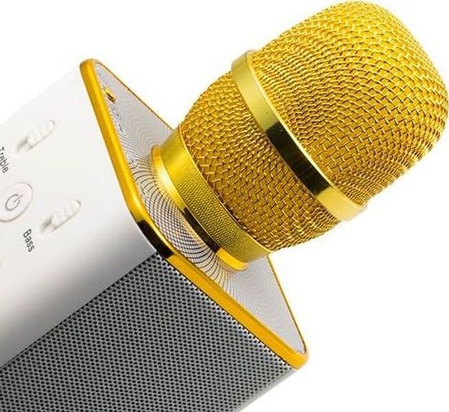 Microfono Karaoke Bluetooth con Speaker Stereo, BT-X31 in Set di microfoni Scontolo.net - Potenza, commercioVirtuoso.it