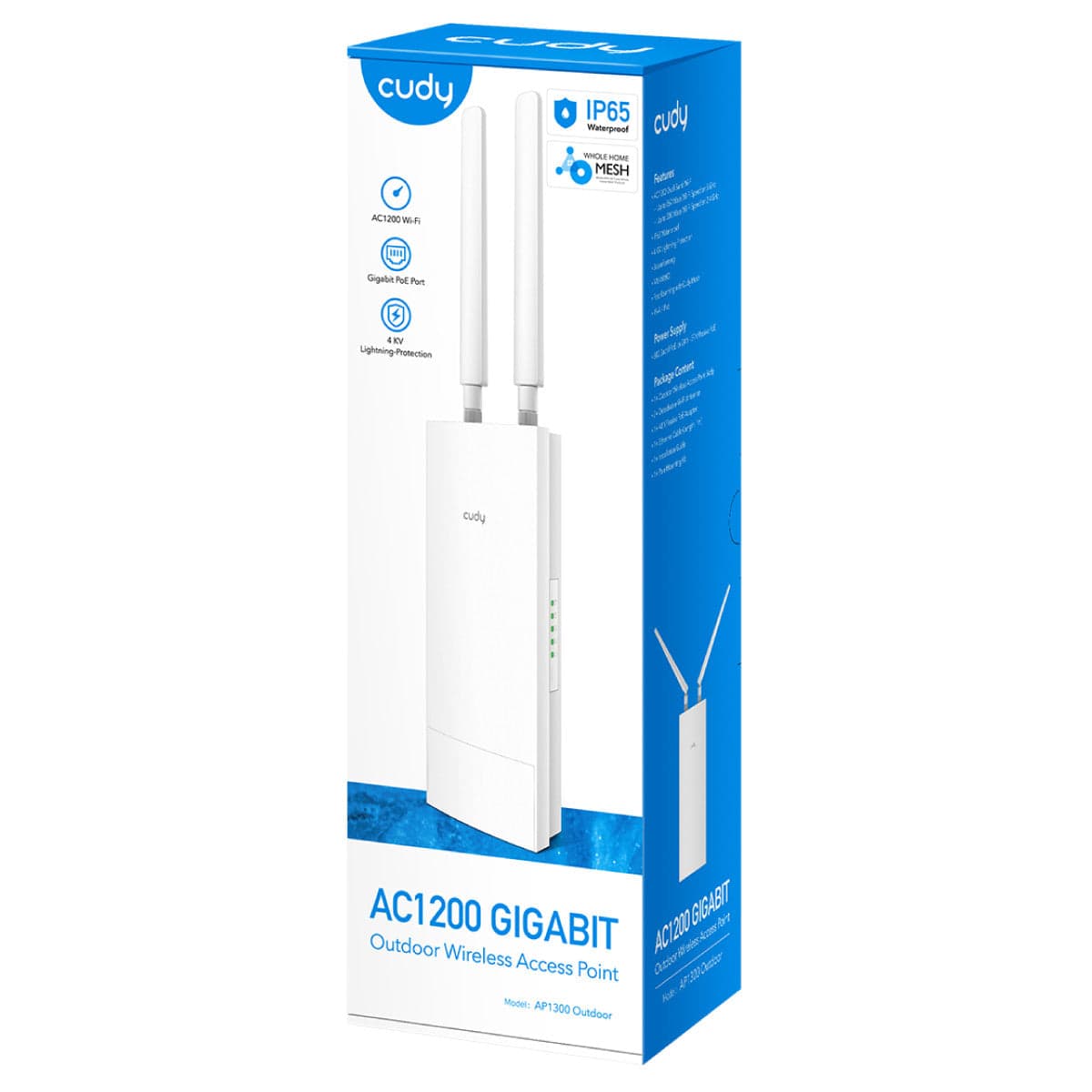 Punto di Accesso Wireless Gigabit AC1200 per Esterni IP65, AP1300 Outdoor in  Scontolo.net - Potenza, commercioVirtuoso.it