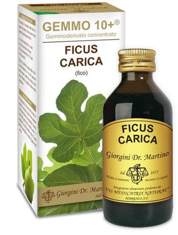 Gemmo 10+ fico liquido analcolico 100 ml in Multivitamine e minerali Clubfarma - Melilli, commercioVirtuoso.it