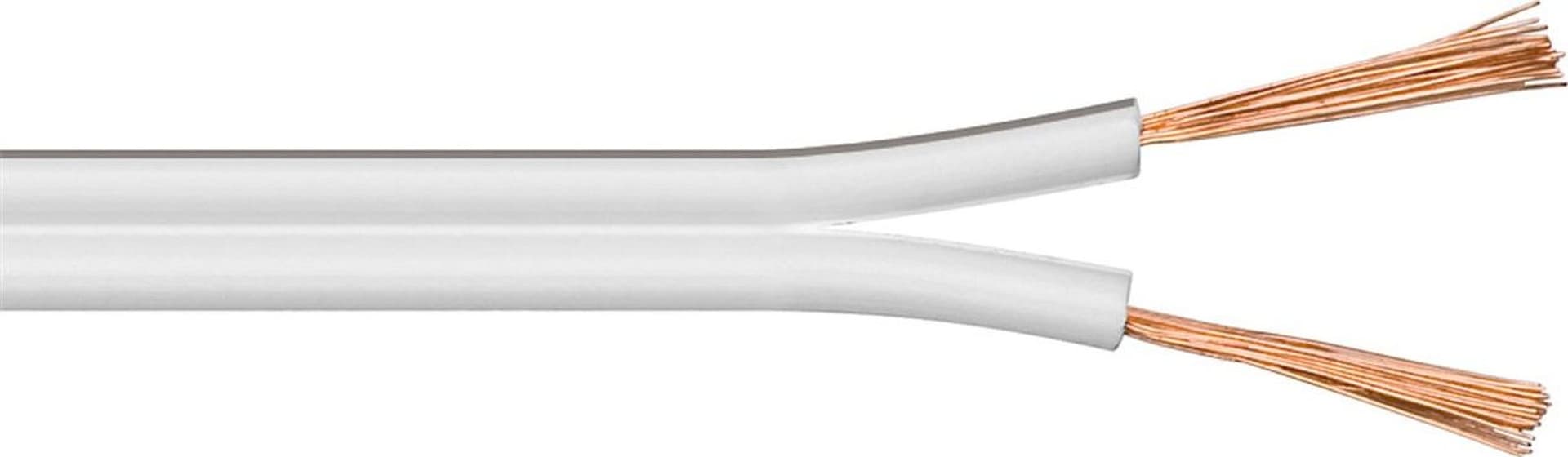 Cavo Audio per diffusori acustici Bianco 2,5 mm² matassa 100mt in Connettori RCA Scontolo.net - Potenza, commercioVirtuoso.it