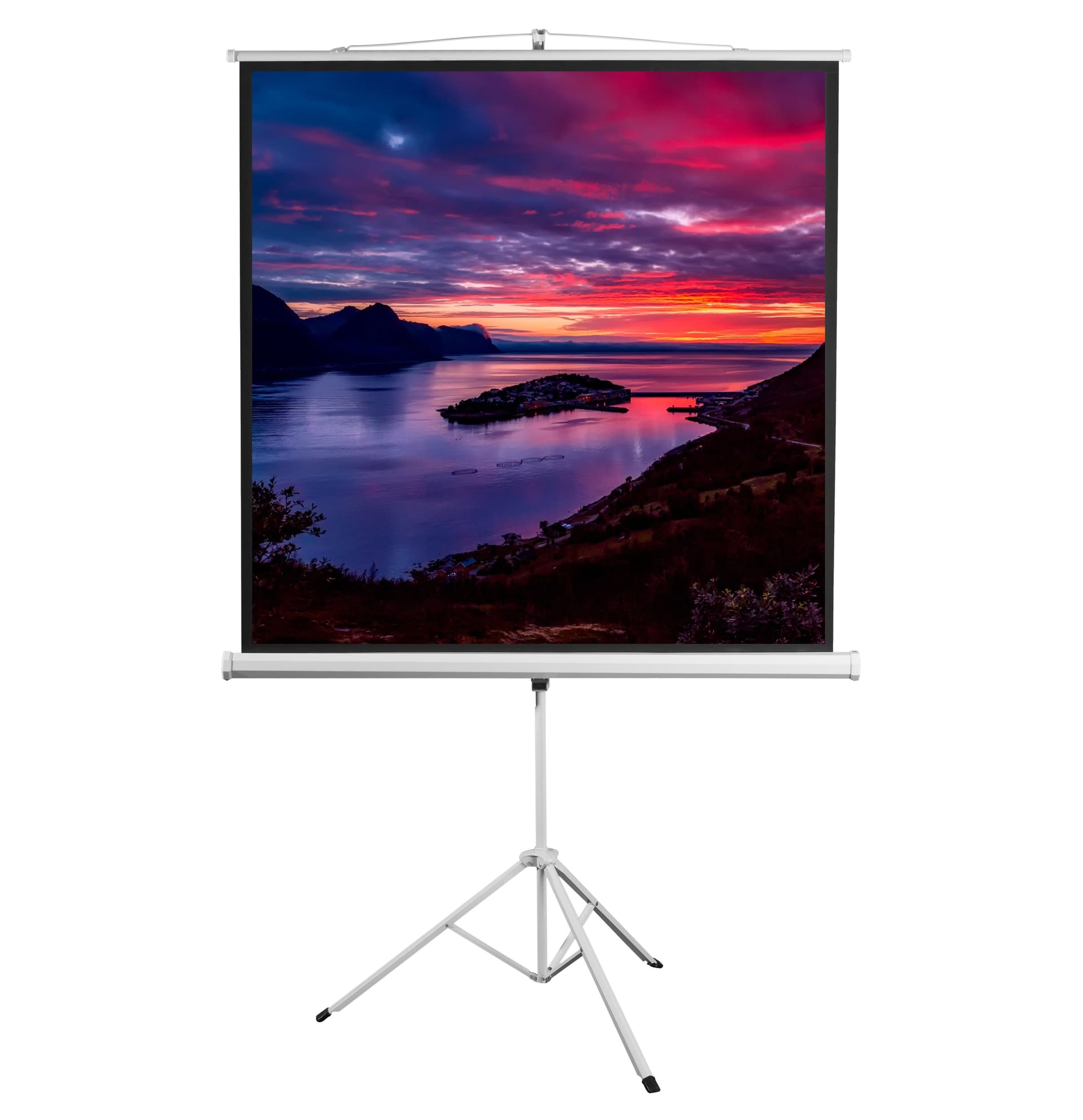 Schermo di Proiezione con Treppiedi 112'' 200x200 PSMT-112V2 in Schermi di proiezione Scontolo.net - Potenza, commercioVirtuoso.it