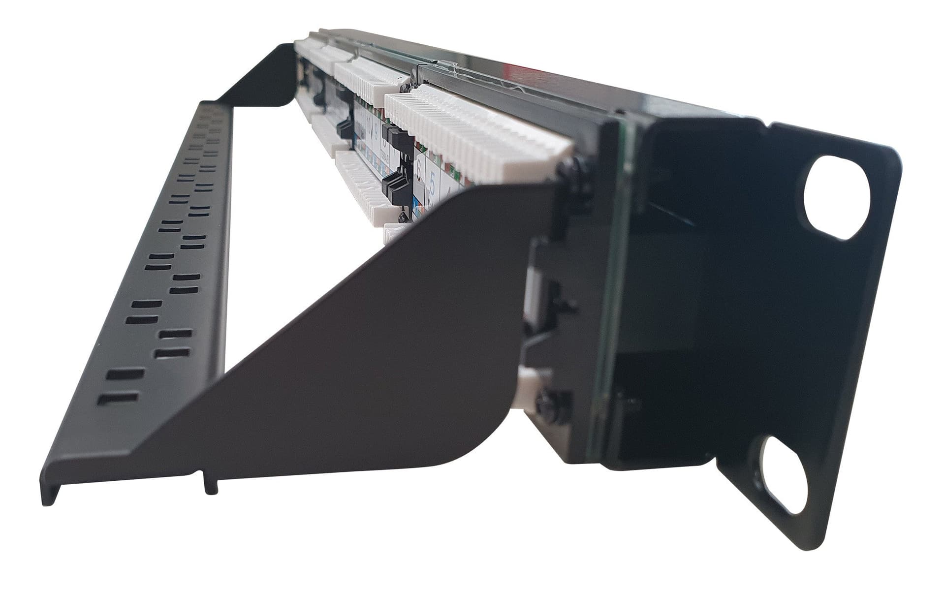 Pannello Patch UTP 24 Posti RJ45 Cat.6 con barra gestione cavi in Cavi Ethernet Scontolo.net - Potenza, commercioVirtuoso.it