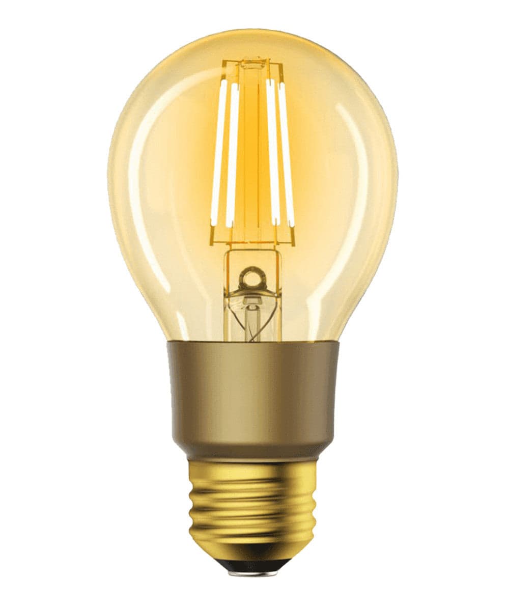 Lampadina LED E27 con Filamento Smart Controllo Vocale Alexa F, R9078 in Lampadine Wi-Fi Scontolo.net - Potenza, commercioVirtuoso.it