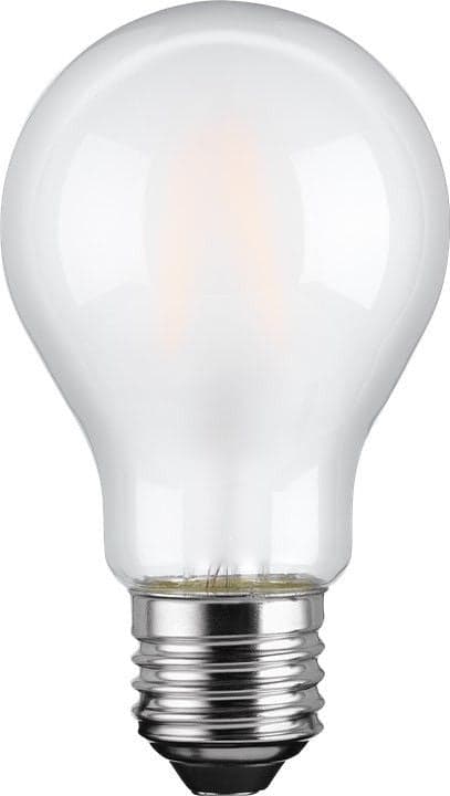 Lampadina LED E27 Bianco Caldo Satinato 7W con filamento Classe E in Lampadine a LED Scontolo.net - Potenza, commercioVirtuoso.it