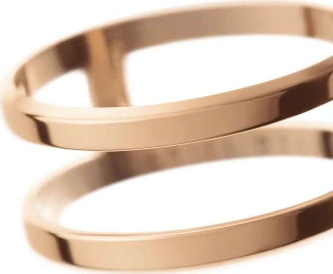 Daniel Wellington Anello ELAN DUAL RING Rose Gold in Anelli Alba Gioielli - Casoria, commercioVirtuoso.it
