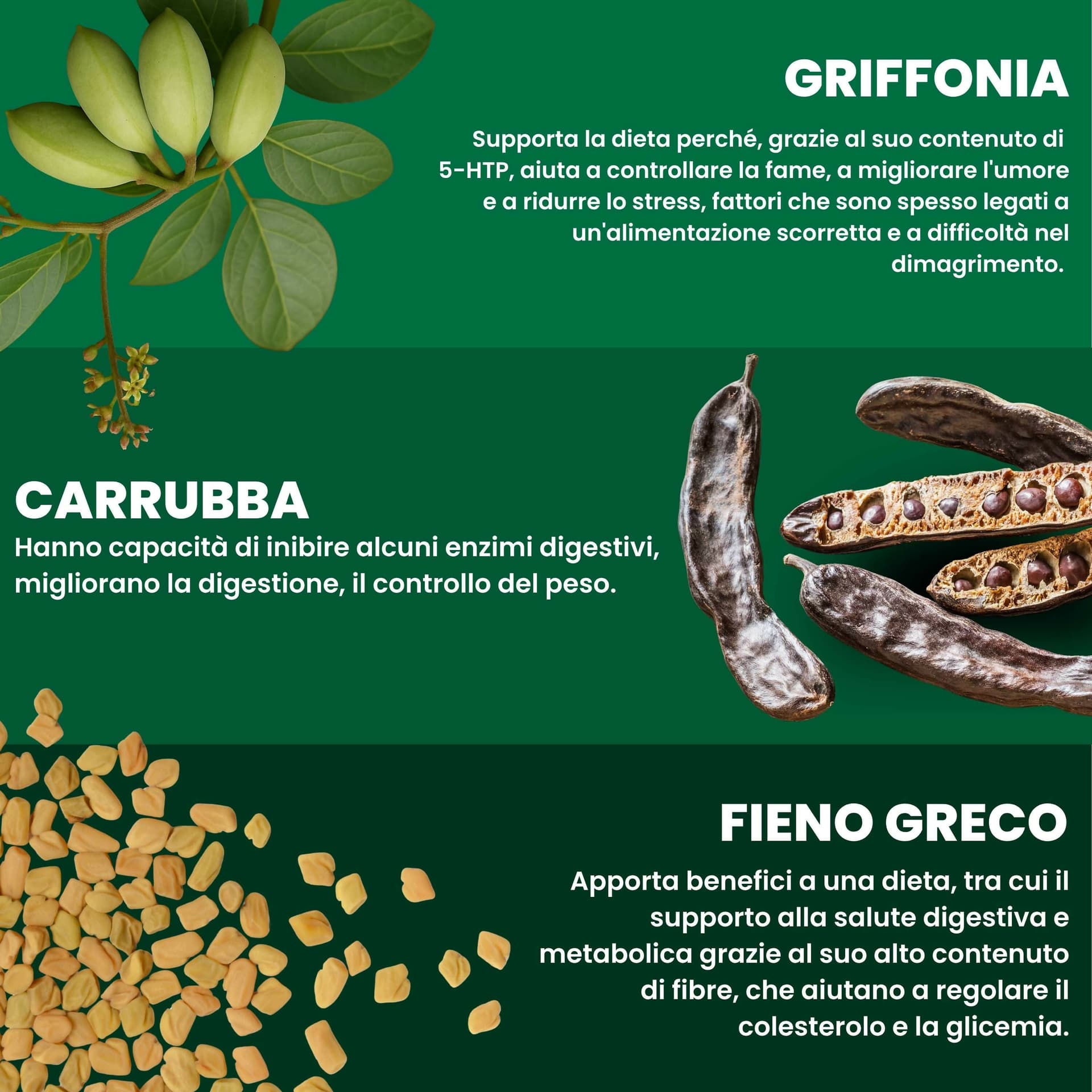 Keto Supreme - Integratore Naturale Dimagrante con Griffonia, Mate e Fieno Greco | Brucia Grassi e Controllo dell'Appetito | 30 Compresse in Bruciatori di grasso BasketGuru Italia - Palermo, commercioVirtuoso.it