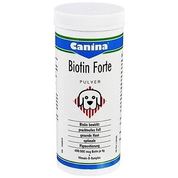 Biotin Forte polvere in Vitamina B7 (Biotina) 101 Market - Poggibonsi, commercioVirtuoso.it