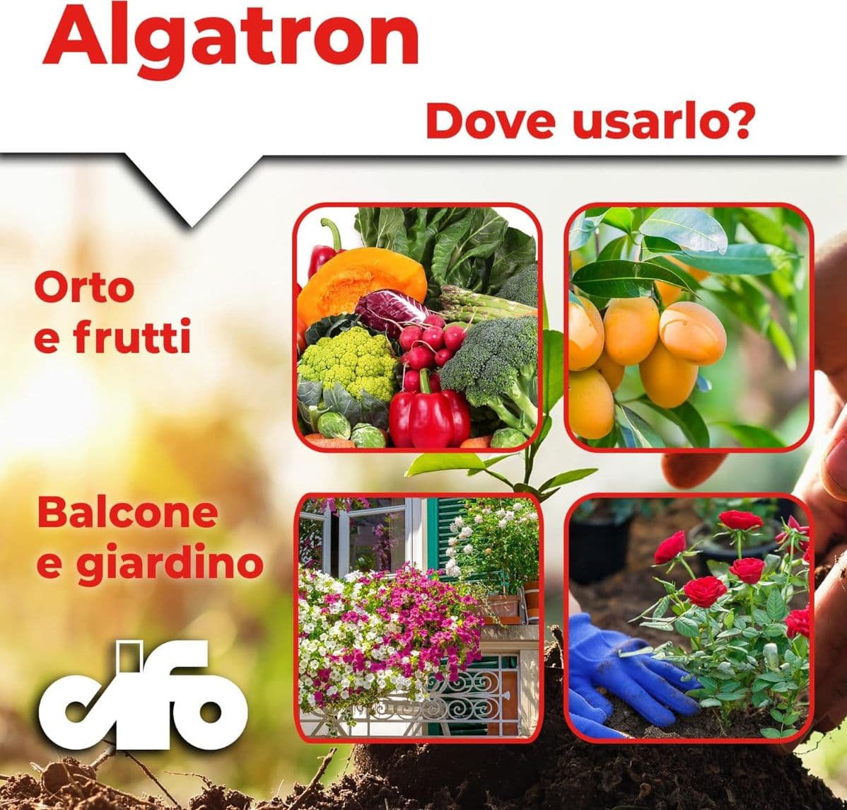 Cifo Algatron – Energia pura per tutte le piante in Fertilizzanti per piante da frutto Masterbrico - Longobardi, commercioVirtuoso.it
