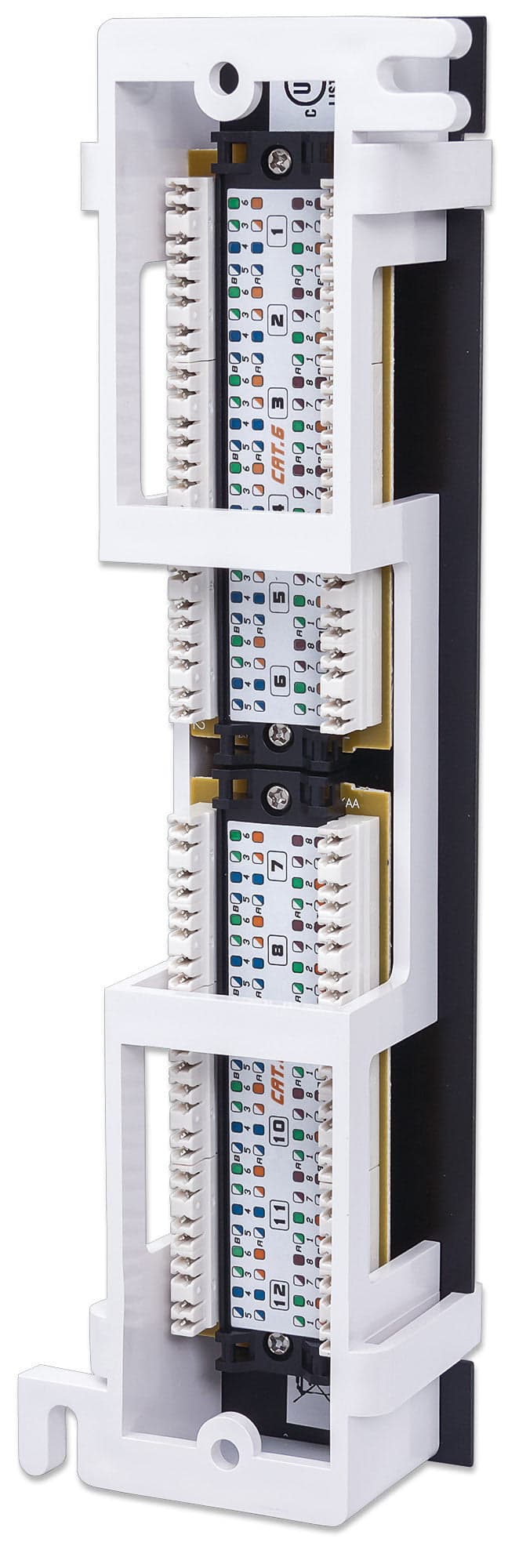 Pannello Patch 12 Porte UTP Cat6 Installazione a Muro in  Scontolo.net - Potenza, commercioVirtuoso.it