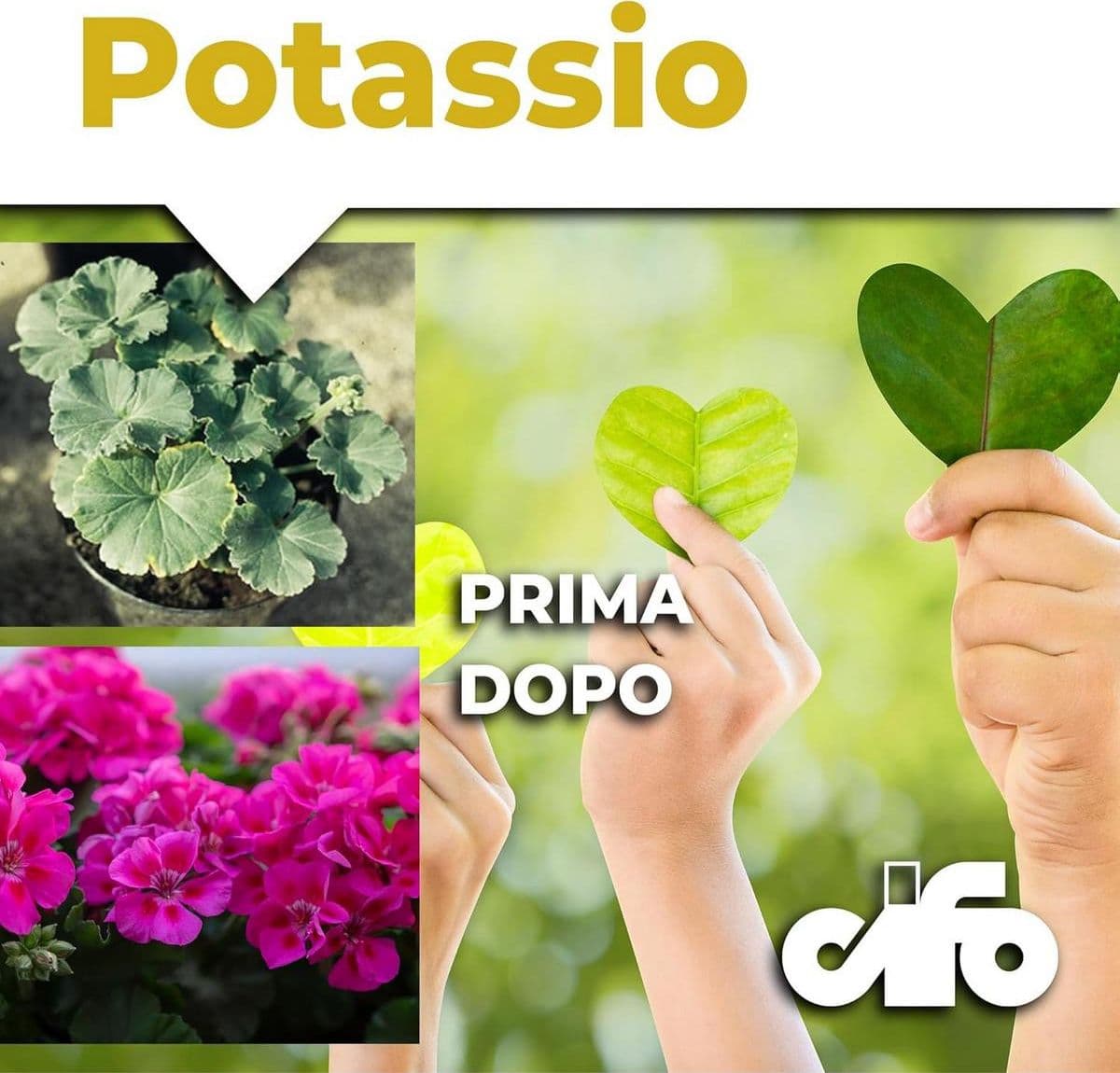 Cifo Potassio – Integratore carenze di potassio piante 250 ml in Fertilizzanti multiuso Masterbrico - Longobardi, commercioVirtuoso.it