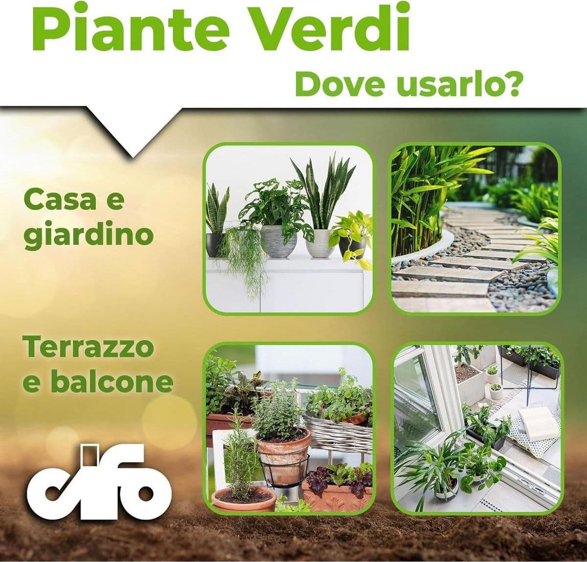 Cifo Concime liquido – Piante verdi ornamentali 1 kg in Fertilizzanti multiuso Masterbrico - Longobardi, commercioVirtuoso.it