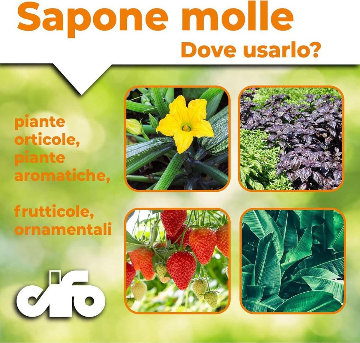Cifo Sapone Molle – Barriera naturale contro afidi 250 ml in Vari insetti Masterbrico - Longobardi, commercioVirtuoso.it