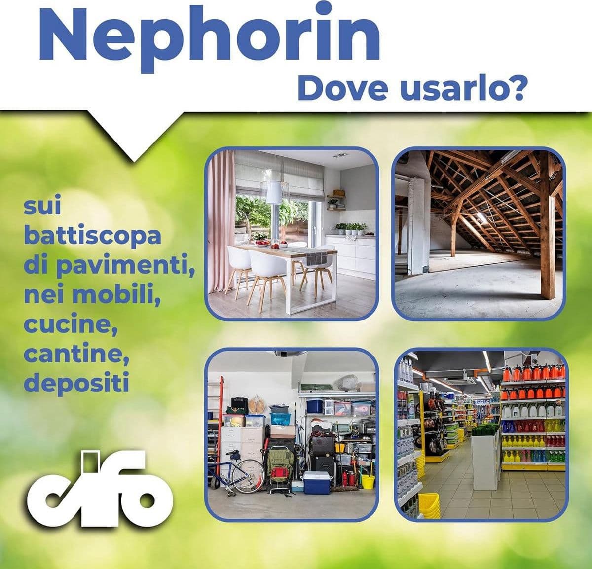 Cifo NEPHORIN Insetticida per ambienti domestici – Spray multi-insetto 500 ml in Vari insetti Masterbrico - Longobardi, commercioVirtuoso.it