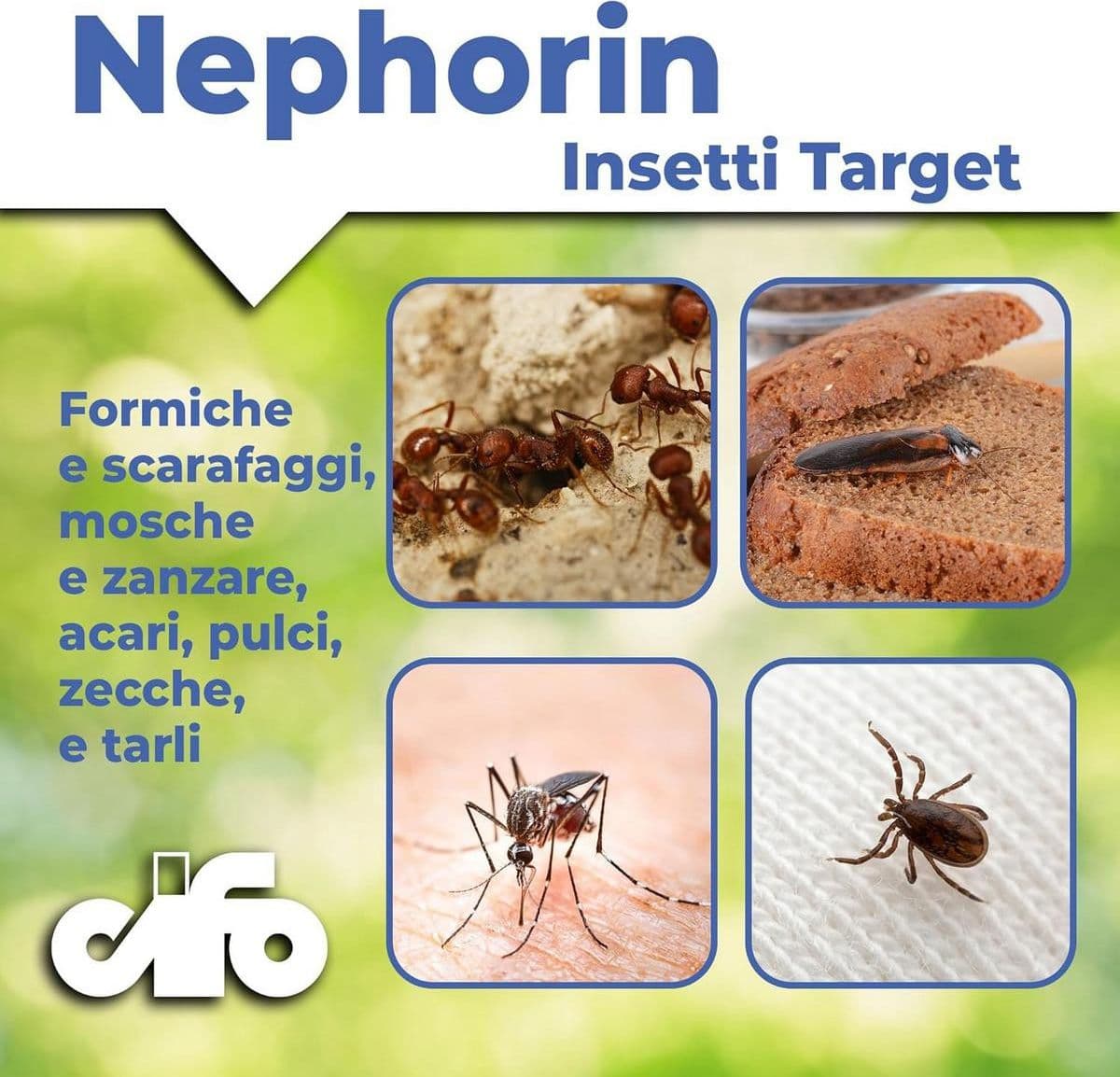 Cifo NEPHORIN Insetticida per ambienti domestici – Spray multi-insetto 500 ml in Vari insetti Masterbrico - Longobardi, commercioVirtuoso.it